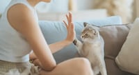 Pet Voice Translators Image 1