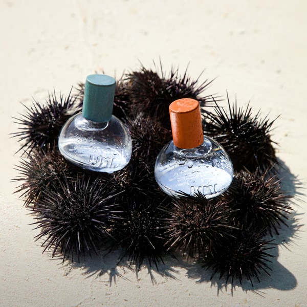 Water-Based Fragrances