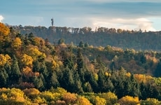 Wildfire Restoration Carbon Projects