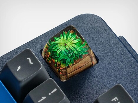 Resin Terrarium Keycaps
