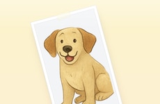 Reflective Memory Platforms