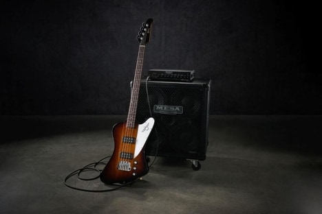 Designer-Forward Bass Designs