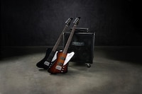 Designer-Forward Bass Designs Image 2