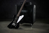 Designer-Forward Bass Designs Image 3
