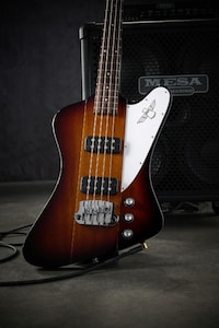 Designer-Forward Bass Designs Image 4