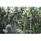 Autonomous Spraying Drone Systems Image 1