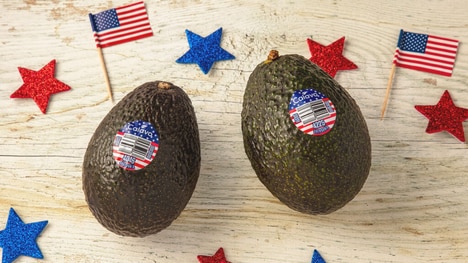 Celebratory American Avocado Branding
