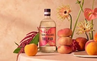 Cocktail-Oriented Peachy Gins Image 1