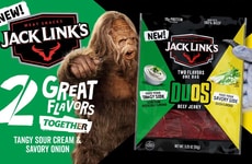 Snack Chip-Inspired Beef Jerkys