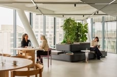 Calm Workspace Interventions