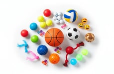 Category-Focused Ball Retailers