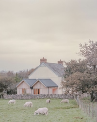 Rural Farm Revival Image 4