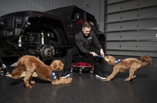 Premium Vehicle-Related Pet Accessories