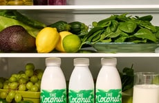 Dairy-Free Fermented Coconut Drinks