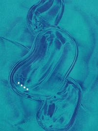 Portable Power Banks Image 3