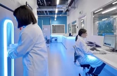 Longevity-Focused Nutritional Solutions