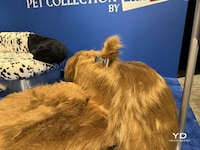 Dog-Shaped Furniture Sets Image 3