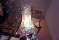 Falsely Named Fluorescence Image 2