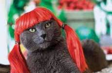 Preposterous Pet Pictures