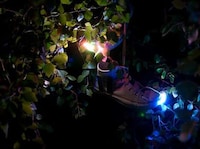 Solar Shoe Lights Image 2