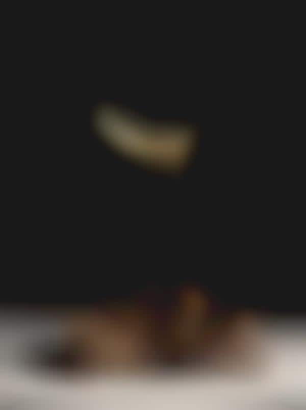 Surreal Suspended Specimens 