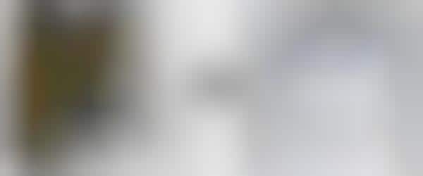 Visual Search Engines