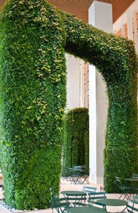 Towering Indoor Gardens Image 2