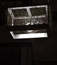 Literal Green Lanterns Image 4