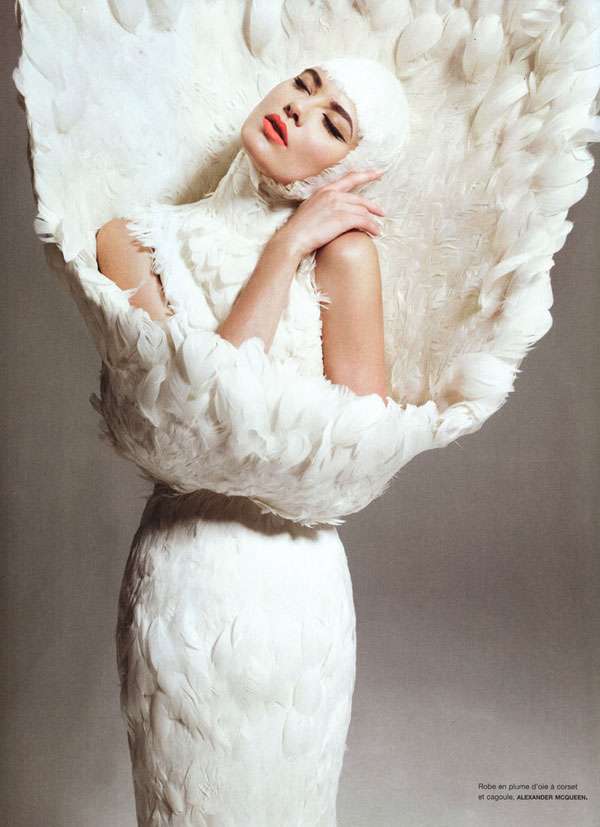 Fantastic Feathered Editorials