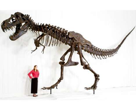 10 Fantastic Fossils