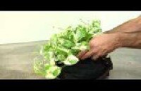 Planter Handbags Image 7