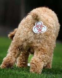 Pet Bum Covers - Image 2