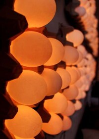LED Eggs Image 2