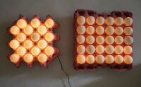 LED Eggs Image 3