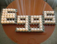 LED Eggs Image 4