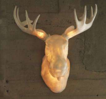 33 Amazing Antlers