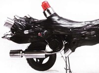 Tree Trunk Cycles Image 3