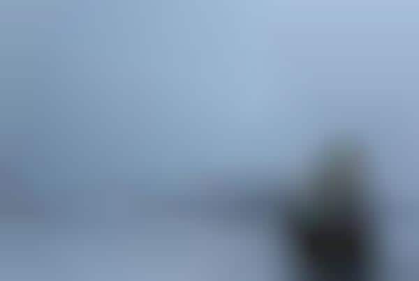 Frozen Violinists