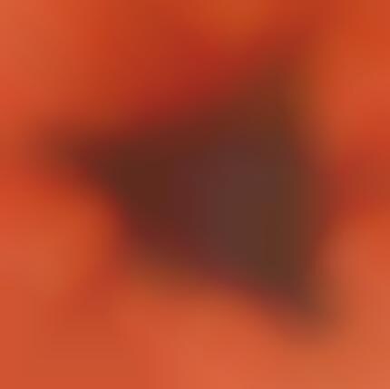 Wolf Masquerade Masks