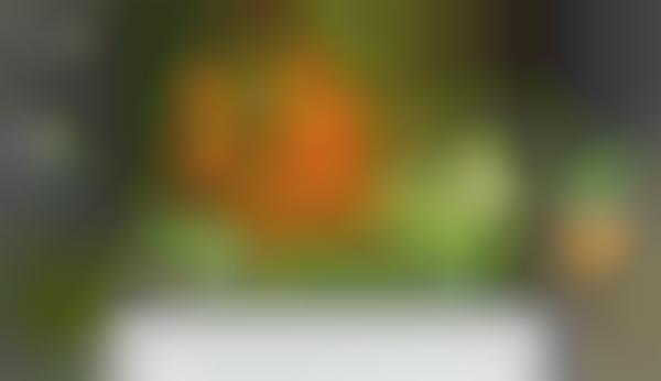 Photo-Only Wikis