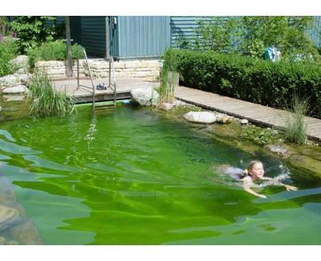 31 Odd Fishing Endeavors