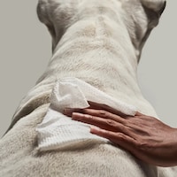 Clean-Ingredient Pet Wipes Image 1
