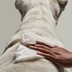 Clean-Ingredient Pet Wipes Image 1