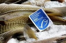 The Future of Seafood Choices in Canada