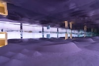 Immersive Movement Installations Image 4