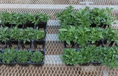 Upcycled Horticultural Materials