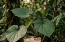 Liquid Kava Snap Packs