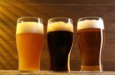 Small-Scale Brewery Conversion Plans