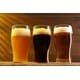 Small-Scale Brewery Conversion Plans Image 1