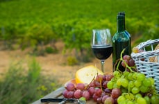 Winery Hospitality Spaces